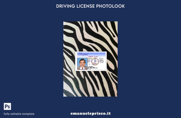 modello FRONTALE photolook versione USA Virginia DL stile verificato
